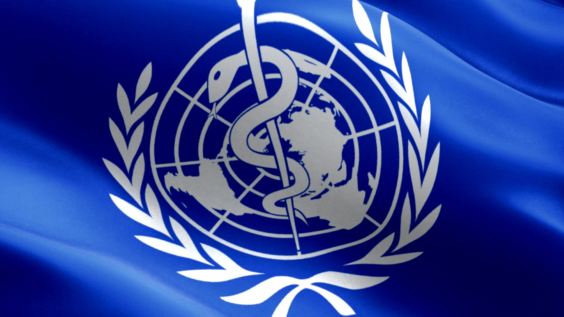 Чрезвычайное оон. Всемирная организация здравоохранения. Всемирная организация Здра. Всемирная организация здравоохранения картинки.