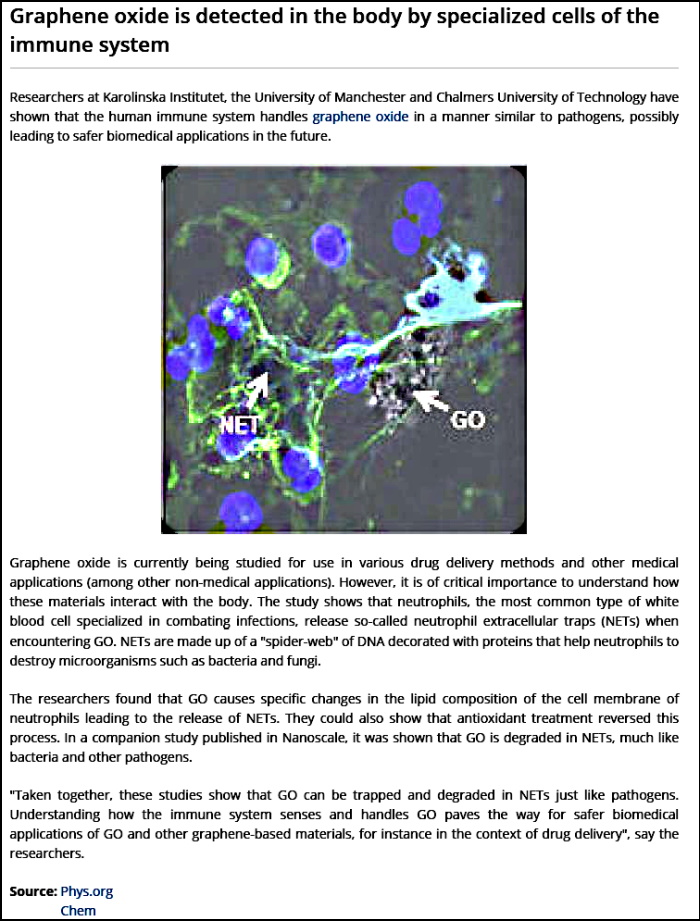 Graphene Oxide G1a