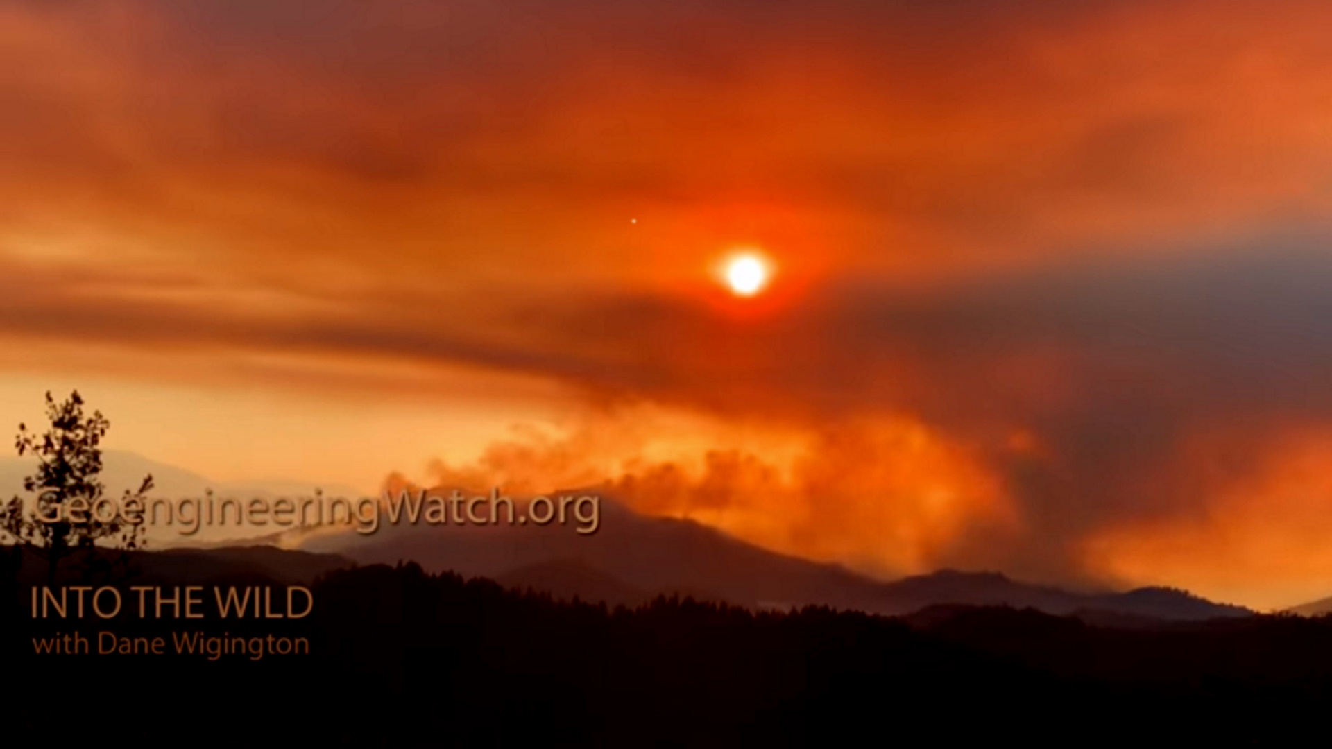 Unforeseen Circumstances, The Fawn Fire, Northern California - Truth ...