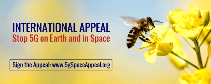 Fish and Wildlife Is Taking Comments on Environmental Threats to the American Bumble Bee   5g