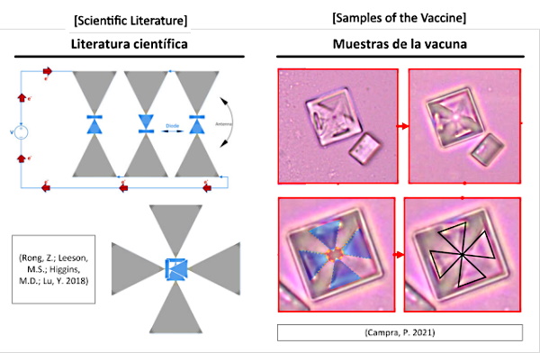 Vaccines as Vectors for the Installation of Nanotechnology: Evidence That Nano Receiving Antennas Are Being Inoculated Into the Human Body C1