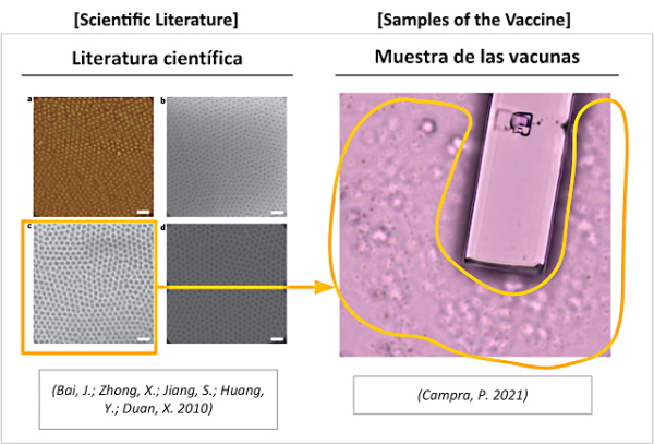 Vaccines as Vectors for the Installation of Nanotechnology: Evidence That Nano Receiving Antennas Are Being Inoculated Into the Human Body C5