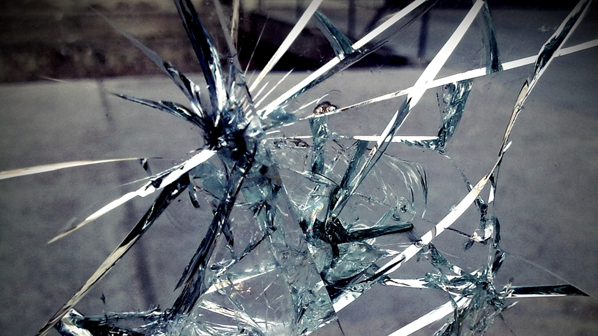 Однажды в московском зоопарке разбилось стекло. Стекло зеркало. Муха разбилась о стекло. Цветы с разбитым стеклом. Звук стекла.