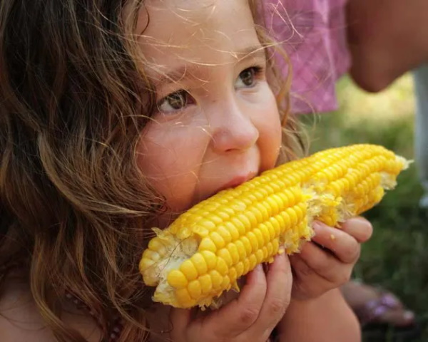 How to Avoid Toxic Roundup and Other Glyphosate-Based Herbicides That Are Poisoning Our Food, Soil, Air, Groundwater, Surface Waters, Rainwater Girl-eating-corn