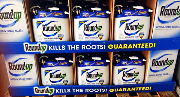 How to Avoid Toxic Roundup and Other Glyphosate-Based Herbicides That Are Poisoning Our Food, Soil, Air, Groundwater, Surface Waters, Rainwater Roundup-glyphosate-