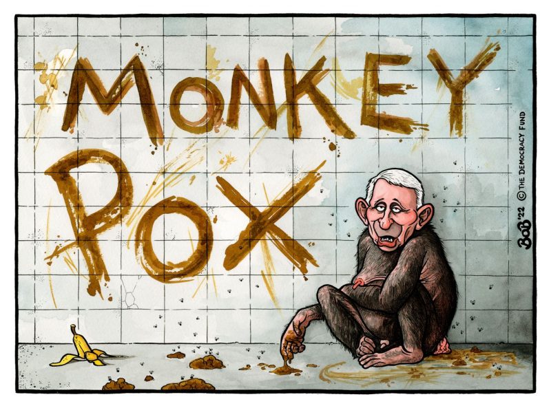 Pandemic 2: Monkeypox Madness Bob-moran-fauci-monkeypox-800x593-1