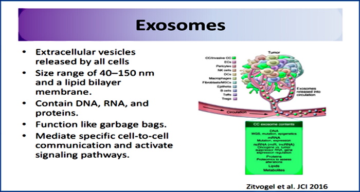 The Exosome Concept Ex2