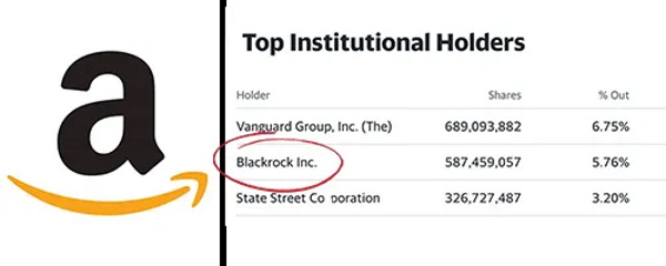 How BlackRock Conquered the World A
