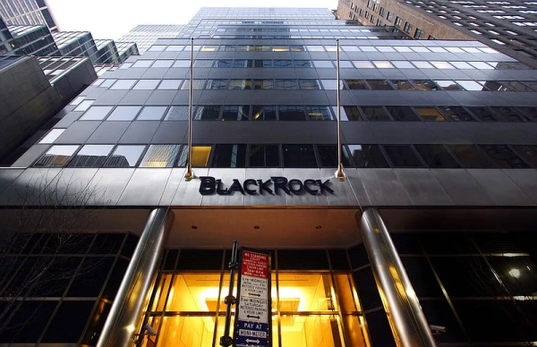 How BlackRock Conquered the World Br