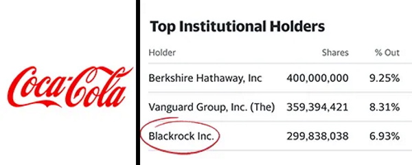 How BlackRock Conquered the World Cc