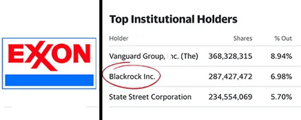 How BlackRock Conquered the World Ex