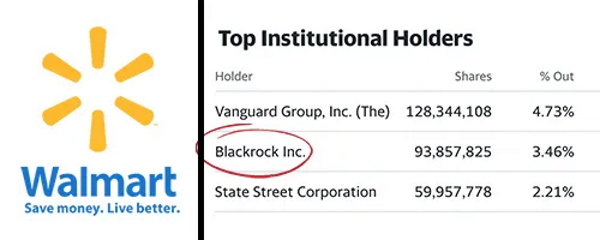How BlackRock Conquered the World Wm