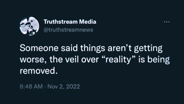 The Veil Over Society Got Removed for a Moment… Ts