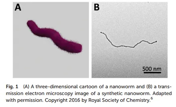 Self Assembly Hydrogel Polymers, Historical Research Context of Hydrogel Smart Materials and Nano Worms Nonoworm